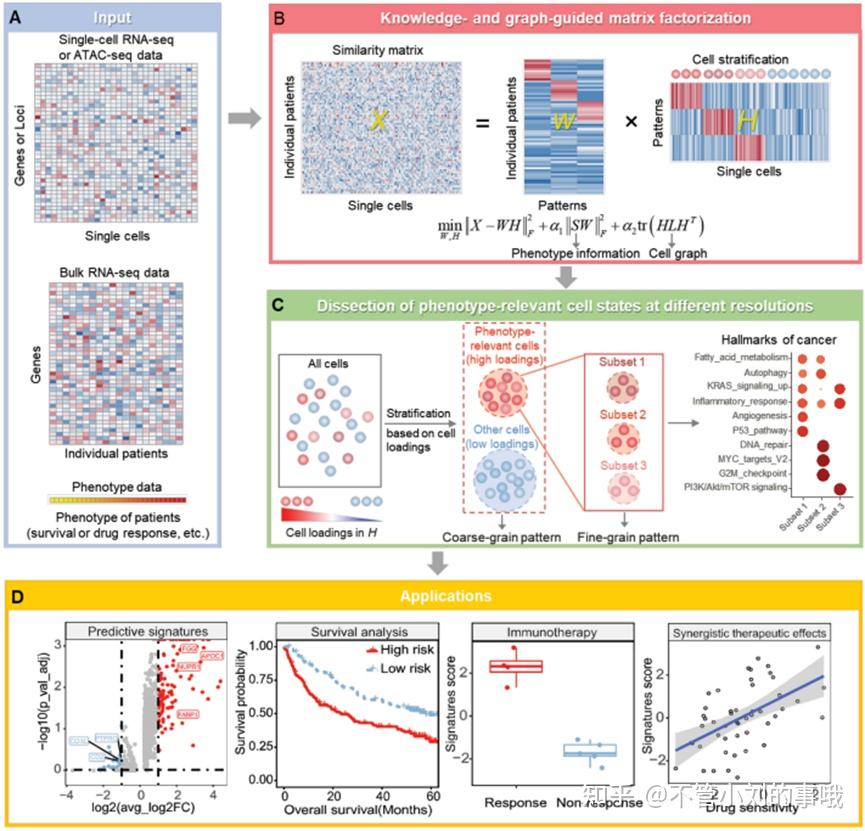 Rna Seq Scrna Seq Bulk