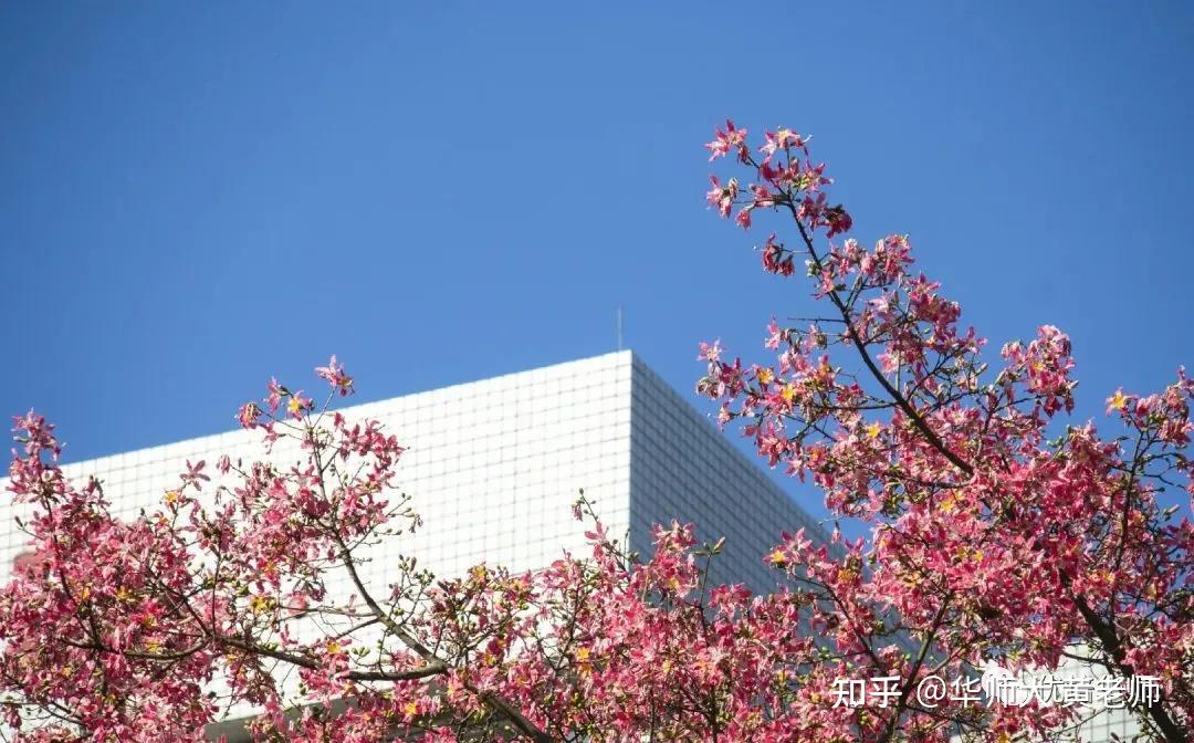 专本连读华南师范大学始建于1933年,前身是广东省立勷勤大学师范学院