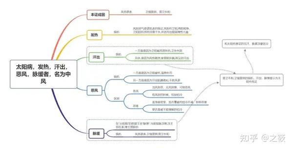 太阳病总纲导图