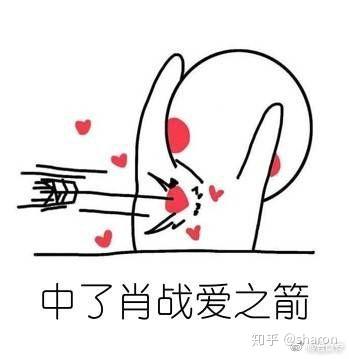 表情包是偷的,我对肖战的心是真的(////)