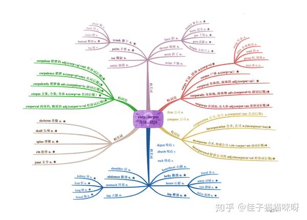 英语词根词缀思维导图-c