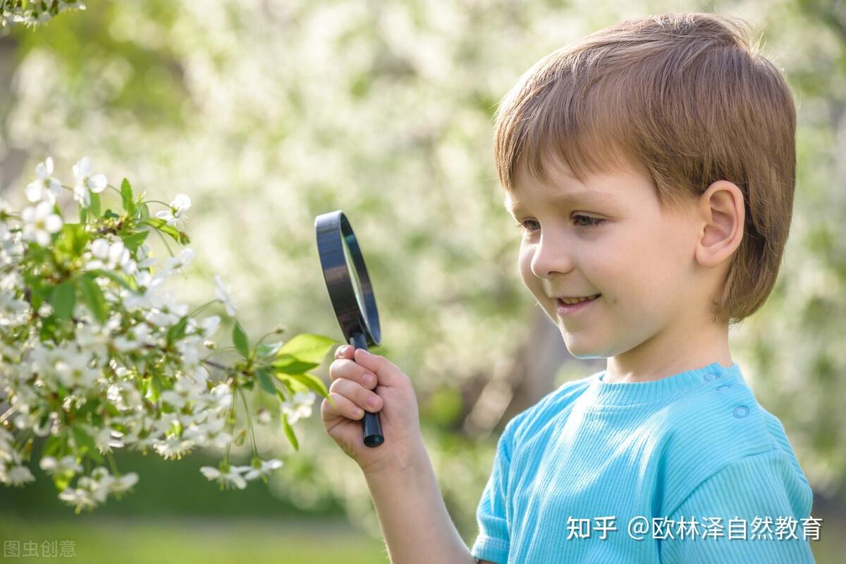 只有在极少数格外严寒的日子里,孩子们会和老师钻进露营帐篷或小木屋