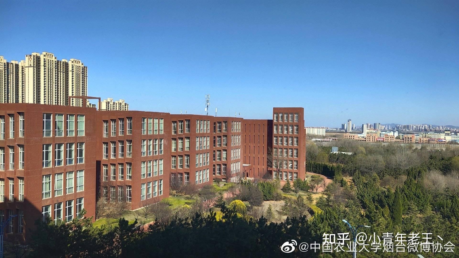 中国农业大学烟台研究所基本设施情况是怎样的?