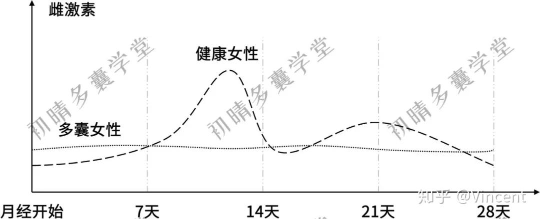 但如果只对比月经期的雌激素,多囊女性的雌酮则