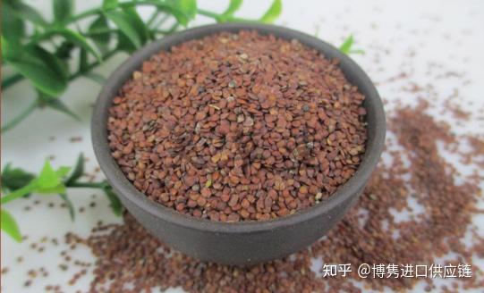 天仙子进口报关,进口清关详细流程及注意事项【知识干货】