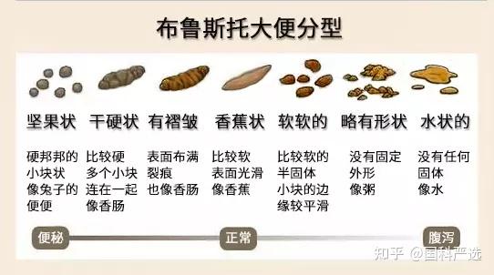 "布里斯托大便分类法(bristol stool scale,人类粪便可分为7种形态