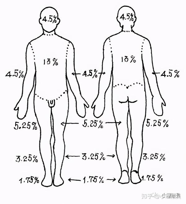 小烧伤面积估算,被检查者五指并拢,一掌面相当于其自身体表面积的1%