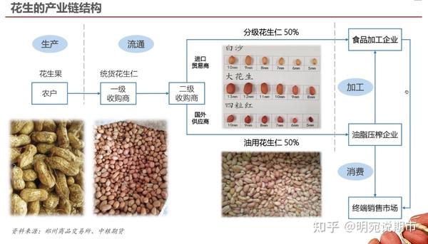 【花生期货】之现货基础知识