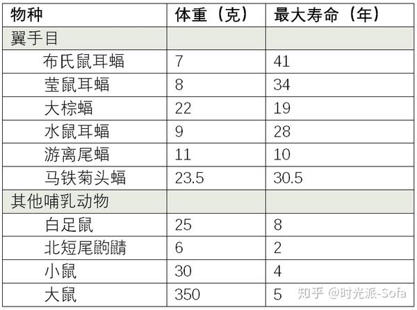 蝙蝠与其他哺乳动物的寿命比较[2]