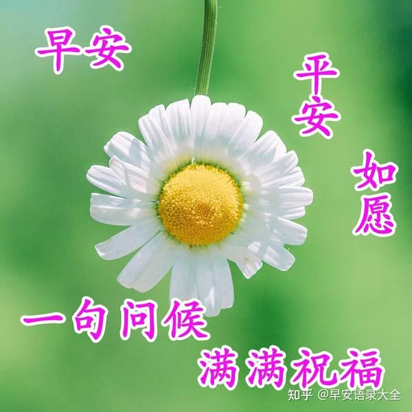 2021年6月16日星期三清晨早上好祝福图片周三最新早安问候图片带字
