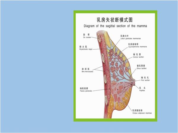 乳腺手术后:乳头再造是怎么做的?