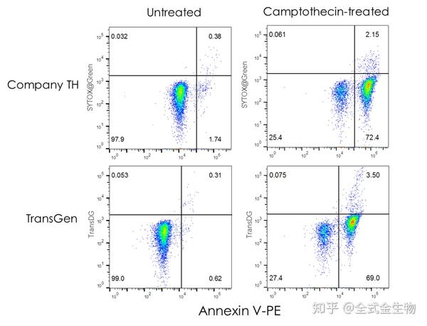 jurkat t淋巴瘤细胞经camptothecin诱导发生凋亡后的流式细胞仪检测