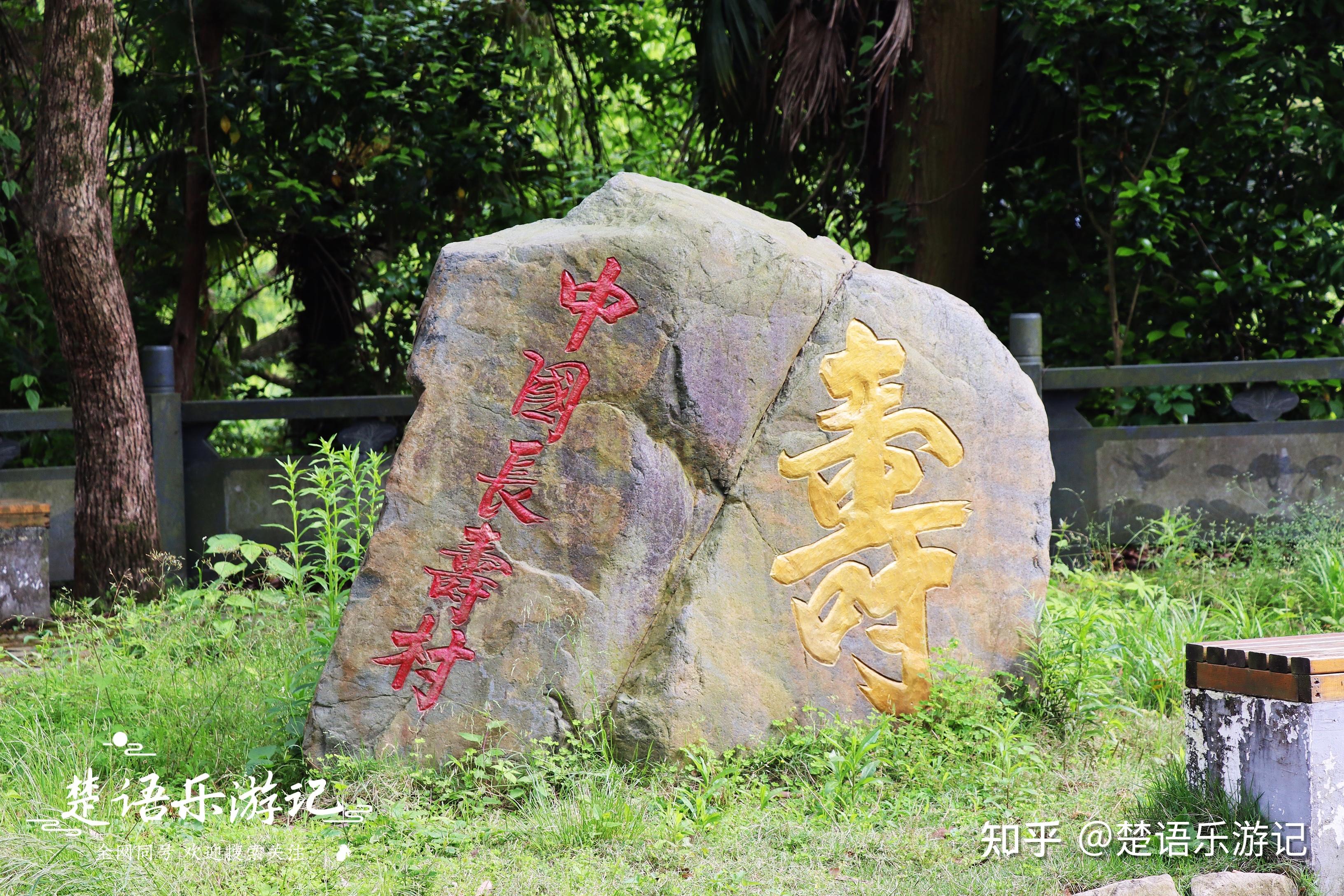 宁波这个中国长寿村到底有啥好玩的原来风光秀丽如绿野仙踪是一个乡村
