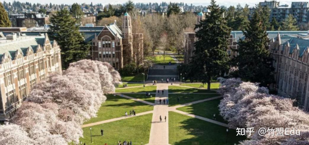 new york university纽约大学