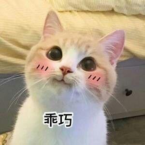 有什么适用于和老公/男票撒娇的可爱表情包?
