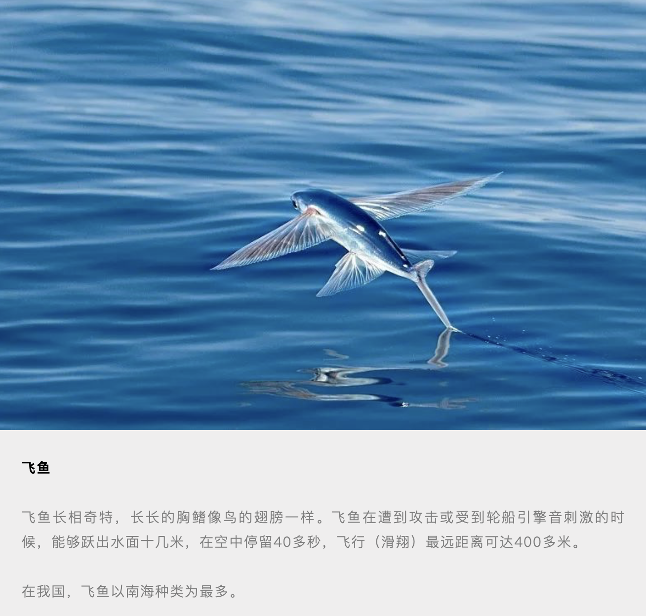 西沙群岛生物的天堂