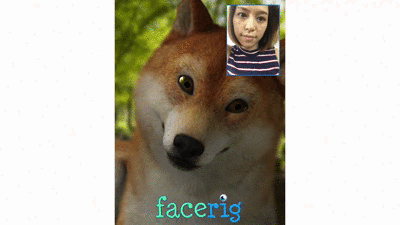 普通玩家也能玩  手机下个app(facerig)好像就可以了  让doge跟我一起