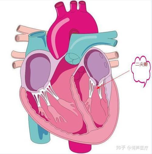 博声医疗:风湿性心脏病,风湿性心脏病的症状