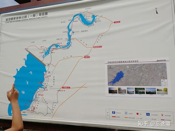 我2019年的端午节去了河南省安阳市汤阴县汤河湿地公园 不要门票不要