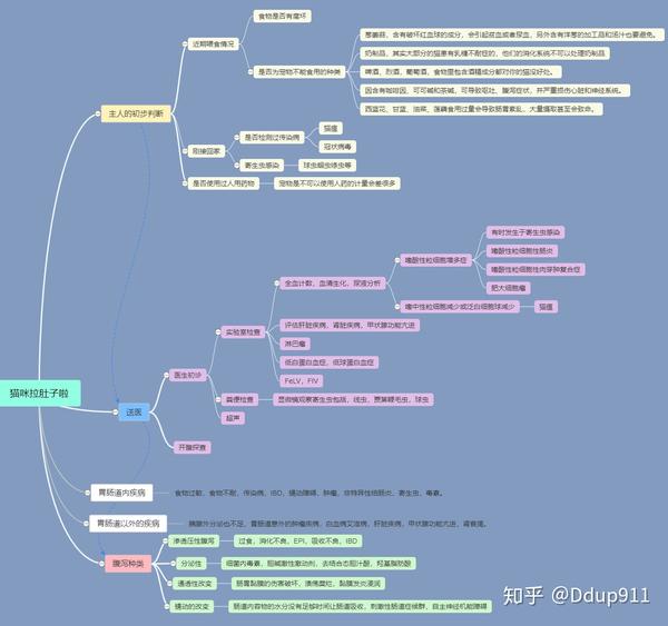 猫咪腹泻的思维导图 小白也能看懂系列