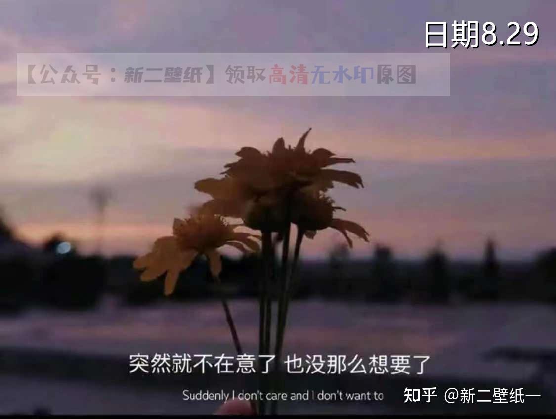 突然就不在意了也没有那么想要了图片抖音热门朋友圈封面壁纸背景图