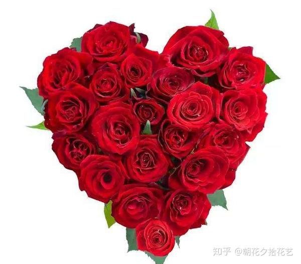 玫瑰花最能代表爱情,它的花语是热恋,是爱与美以及高贵的象征.