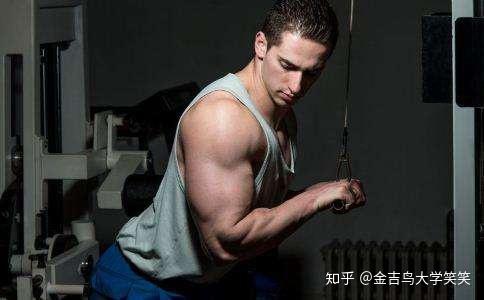 手臂怎么练粗练壮大臂肌肉应该怎么练