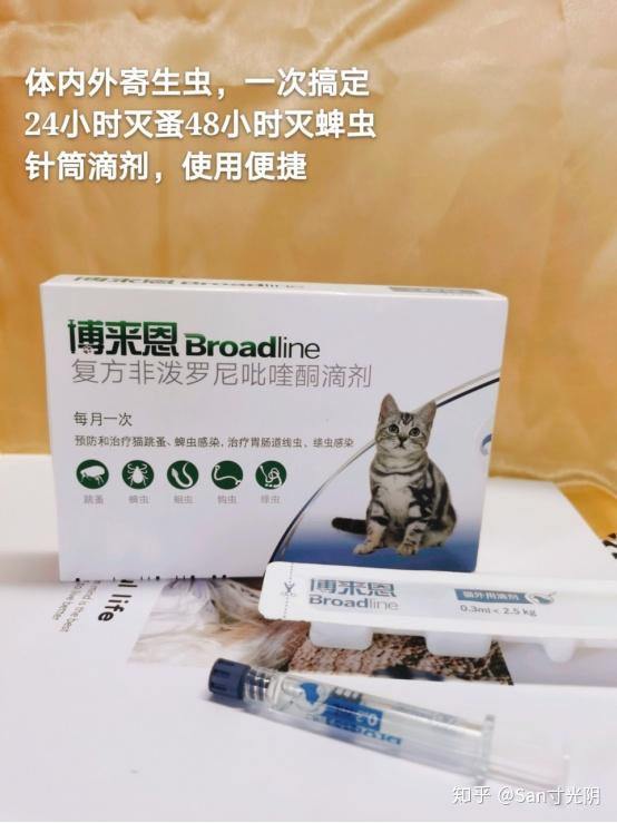 博来恩好用吗聊聊给猫咪驱虫的那些事