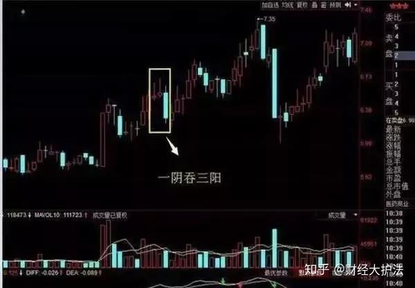 旱地拔葱