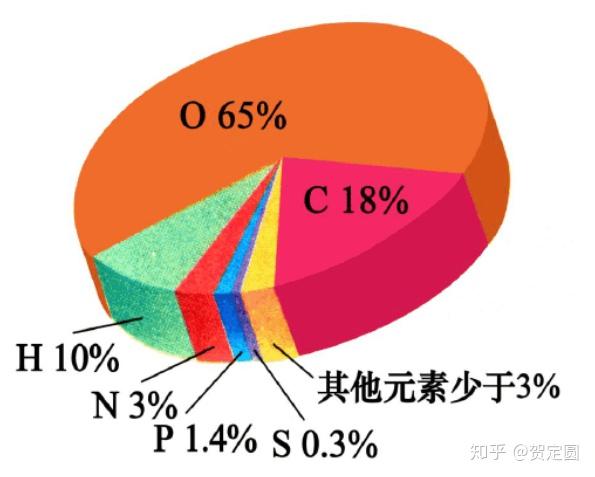 人体细胞主要是元素构成