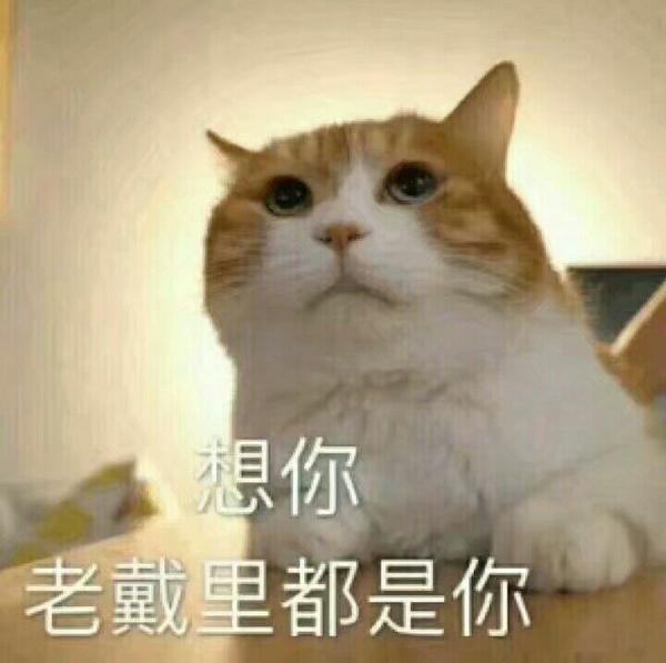 如何套路男朋友买包包买口红的表情包系列 动图可能有暴击,也可以拿去