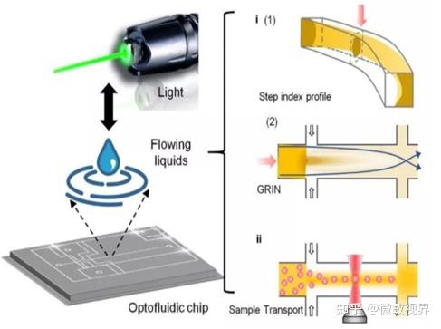 基于荧光共振能量转移的光流控方法来检测miRNA 知乎