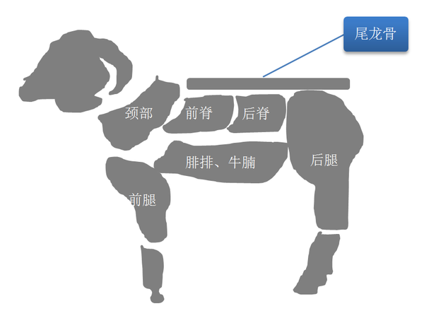 羊肉的分割生鲜食材羊肉篇