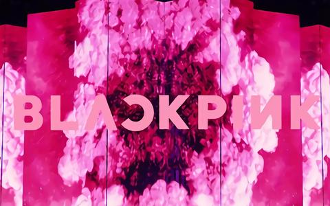 [姬翻] blackpink粉墨巡回演唱会首尔蚕室场中字dvd_哔哩哔哩 (゜-゜)