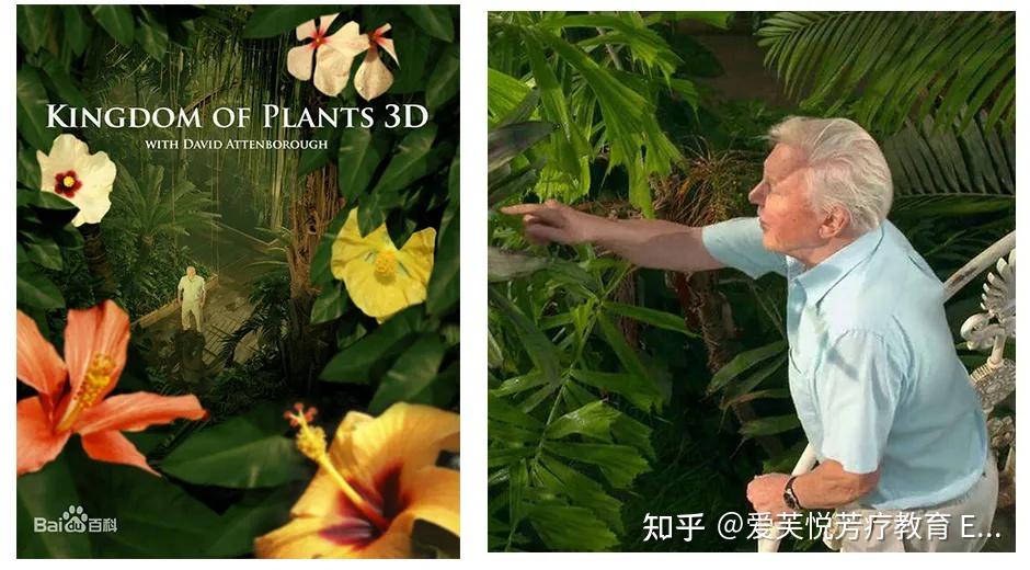 4部芳香植物纪录片│看完相当于去了100个植物园