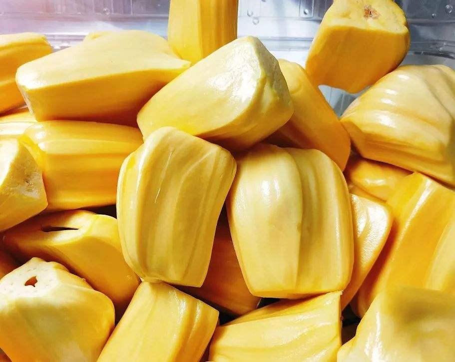 菠萝蜜是什么 zhuanlan.zhihu.com