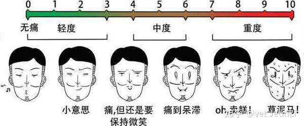 结合数字分级法(nrs)视觉模糊评分(vas)面部疼痛表情评分(fps-r)