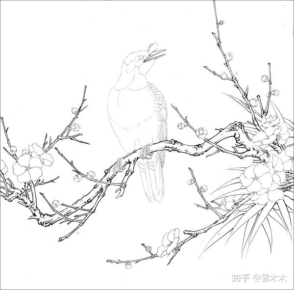 宋小品《梅花八哥》 尺寸:35×29cm国画工笔,绘画步骤