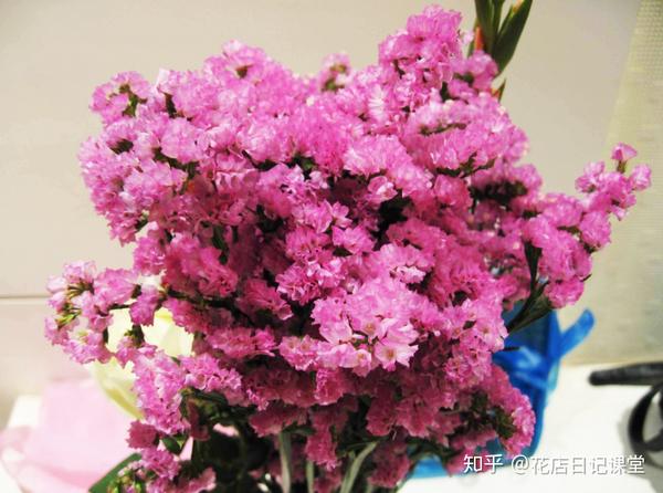 花店常用鲜花有哪些?