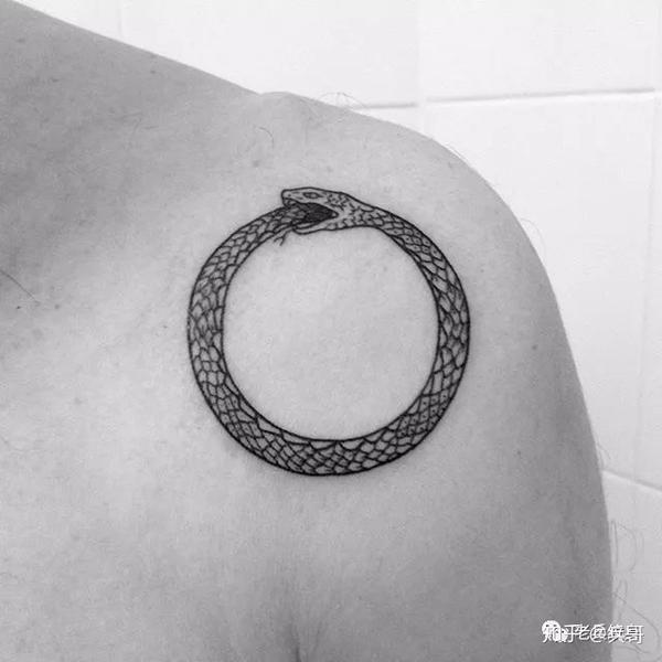纹身素材第33期——衔尾蛇纹身