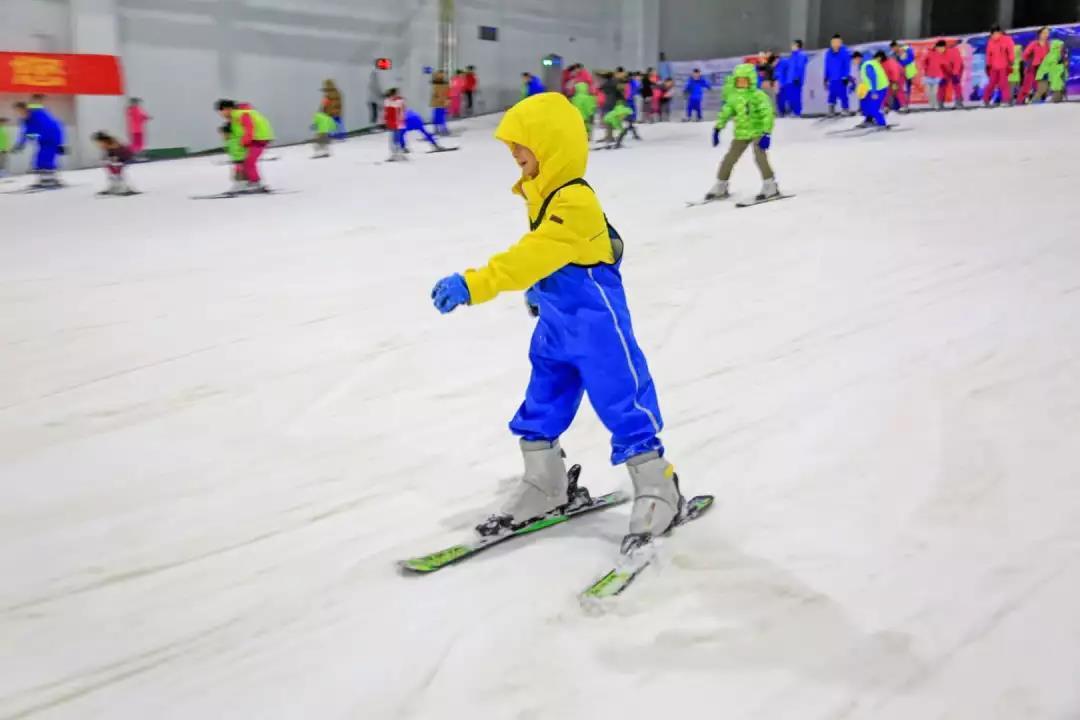 冰上游戏双人只需￥88三只熊冰雪王国邀你来滑雪看冰雕