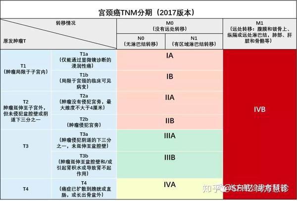 组合的宫颈癌tnm分期