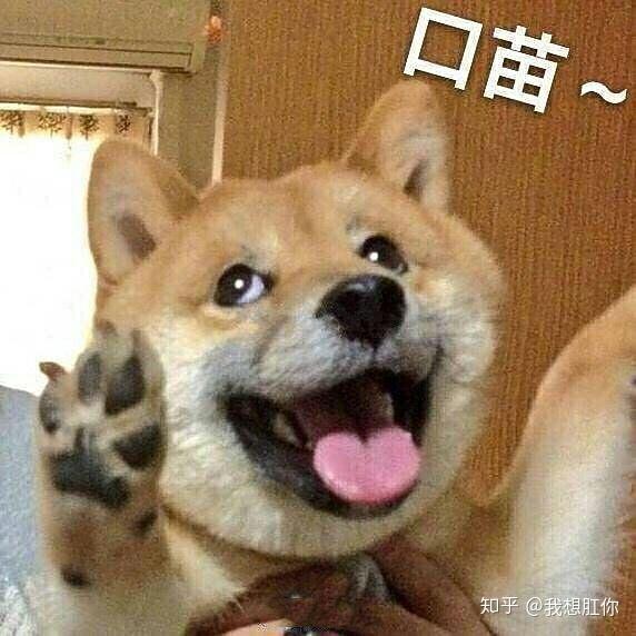 哪些表情包让你看一次笑一次?