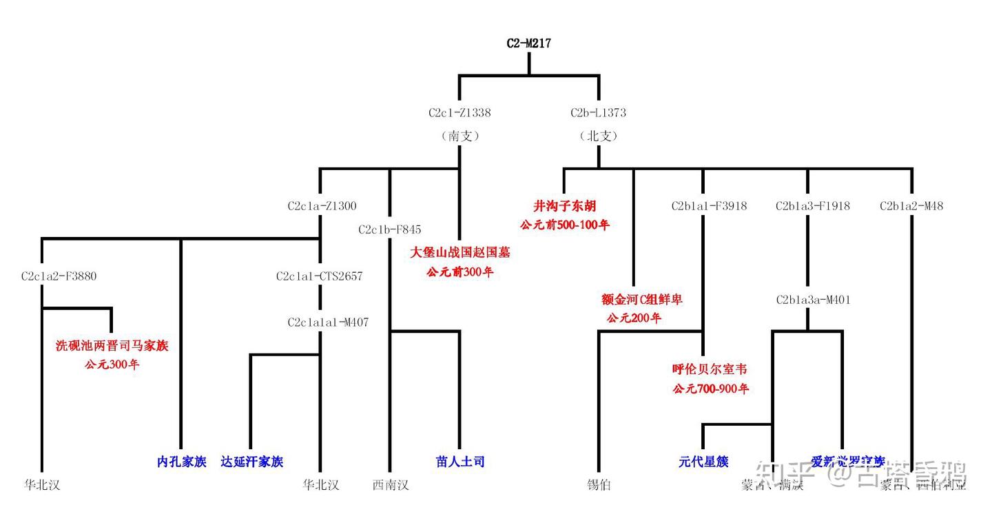 北周皇族的真实来源北周皇族实际上是北魏皇族的旁支根本不是由宇文部