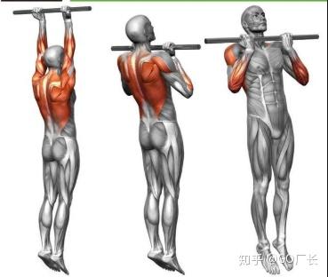 几天前可以正手23个引体，现在只能21个，为何?