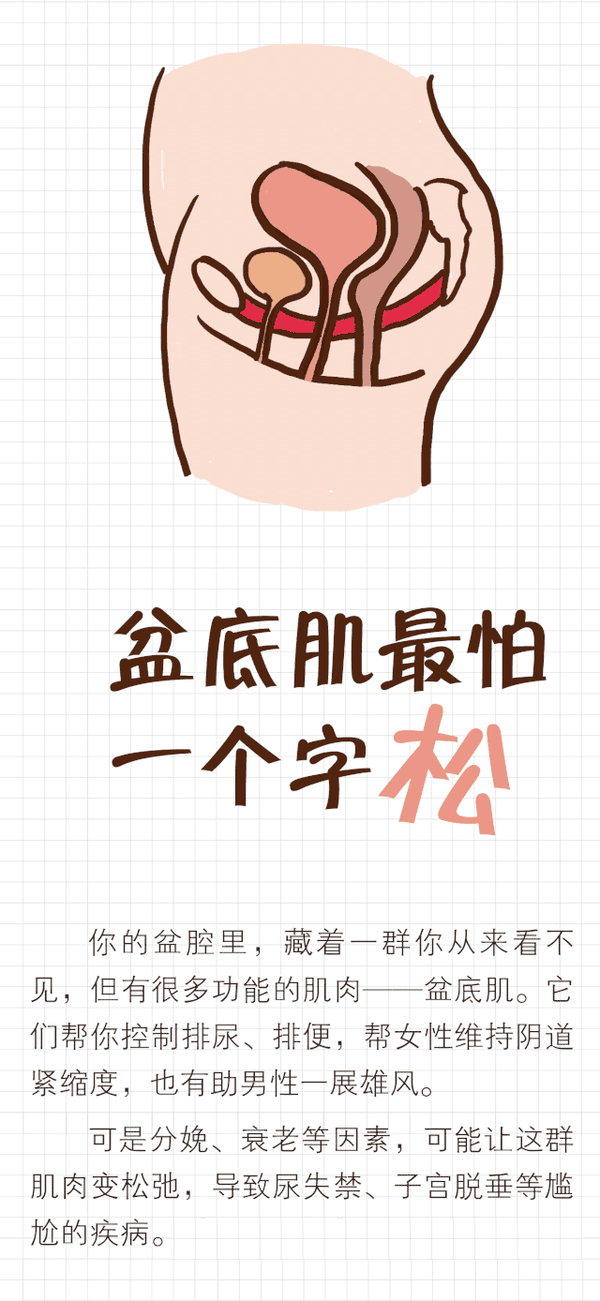 盆底肌松了有什么后果5个简单动作让它变紧致