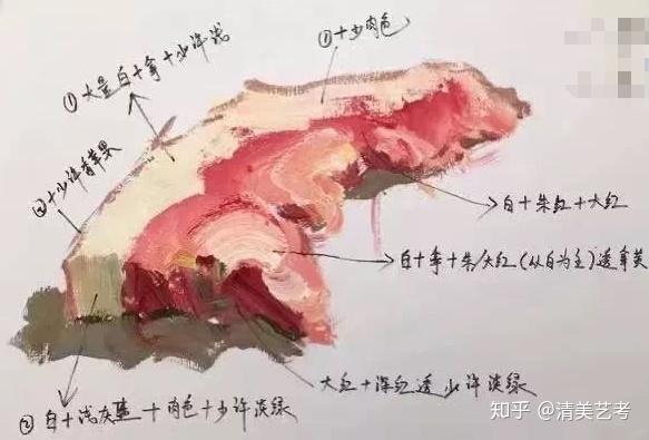 清美艺考高分干货色彩单体画的心累大鱼大肉送给你解乏