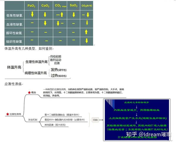 《病理生理学》期末名词解释 大题思维导图归纳