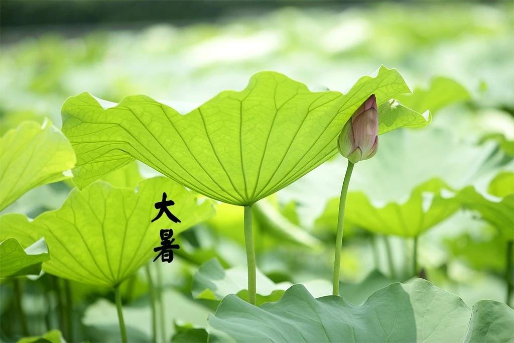 潜能开发的年龄阶段曾冠茗老师为你解说