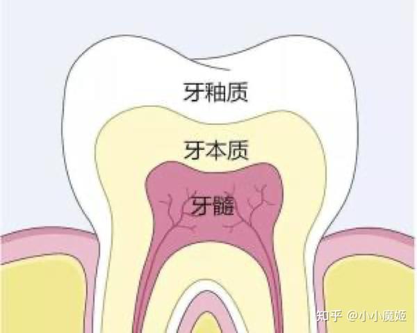 首先,要告诉大家一个残酷的事实:健康的牙齿本来就是黄的.